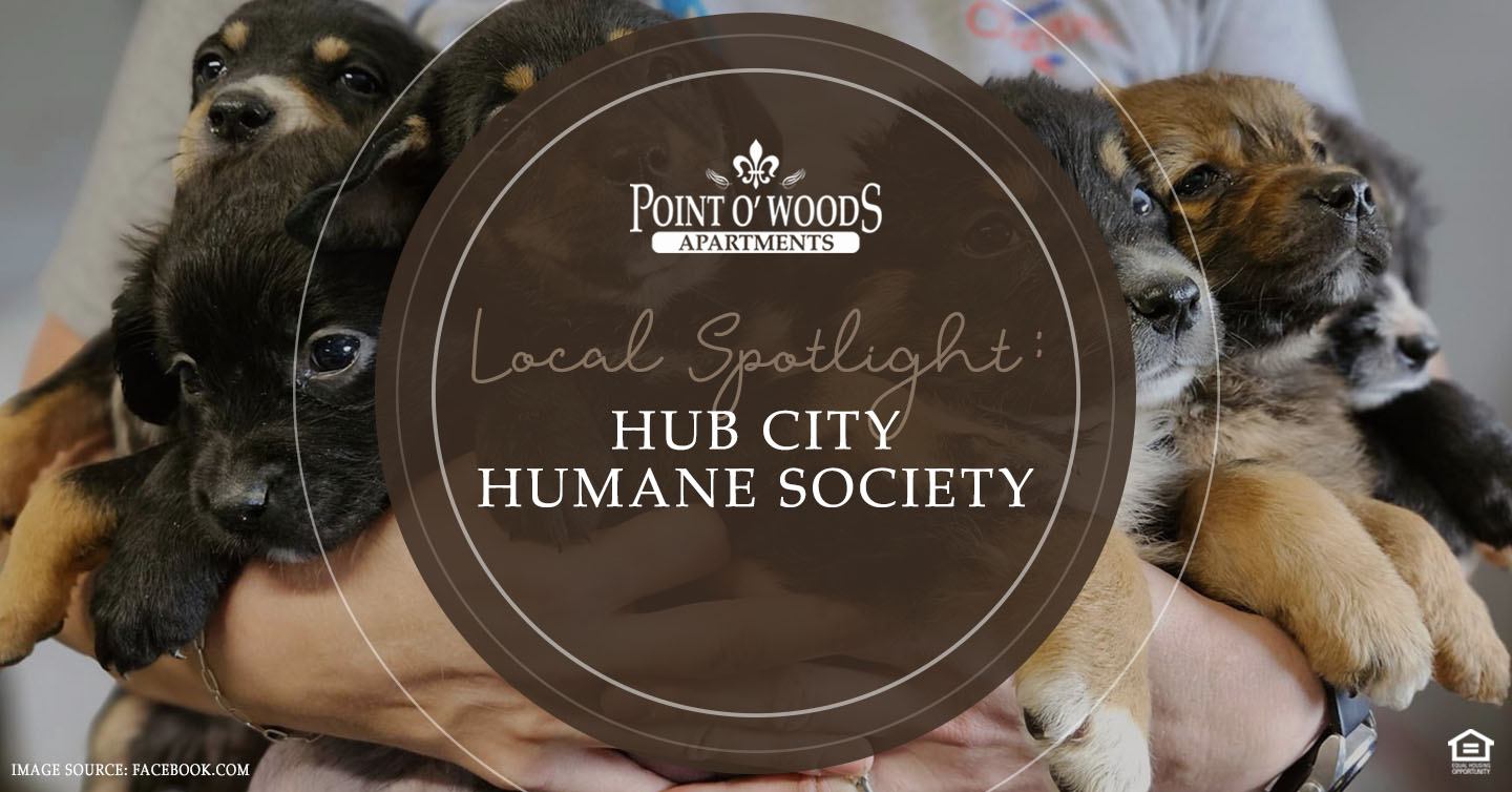 Hub City Humane Society
