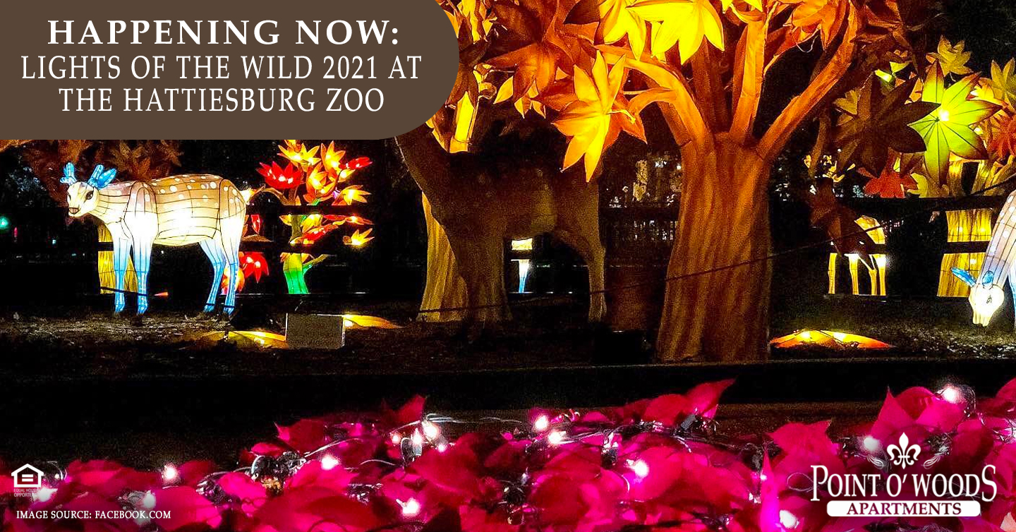 Happening Now: Lights of the Wild 2021 at the Hattiesburg Zoo